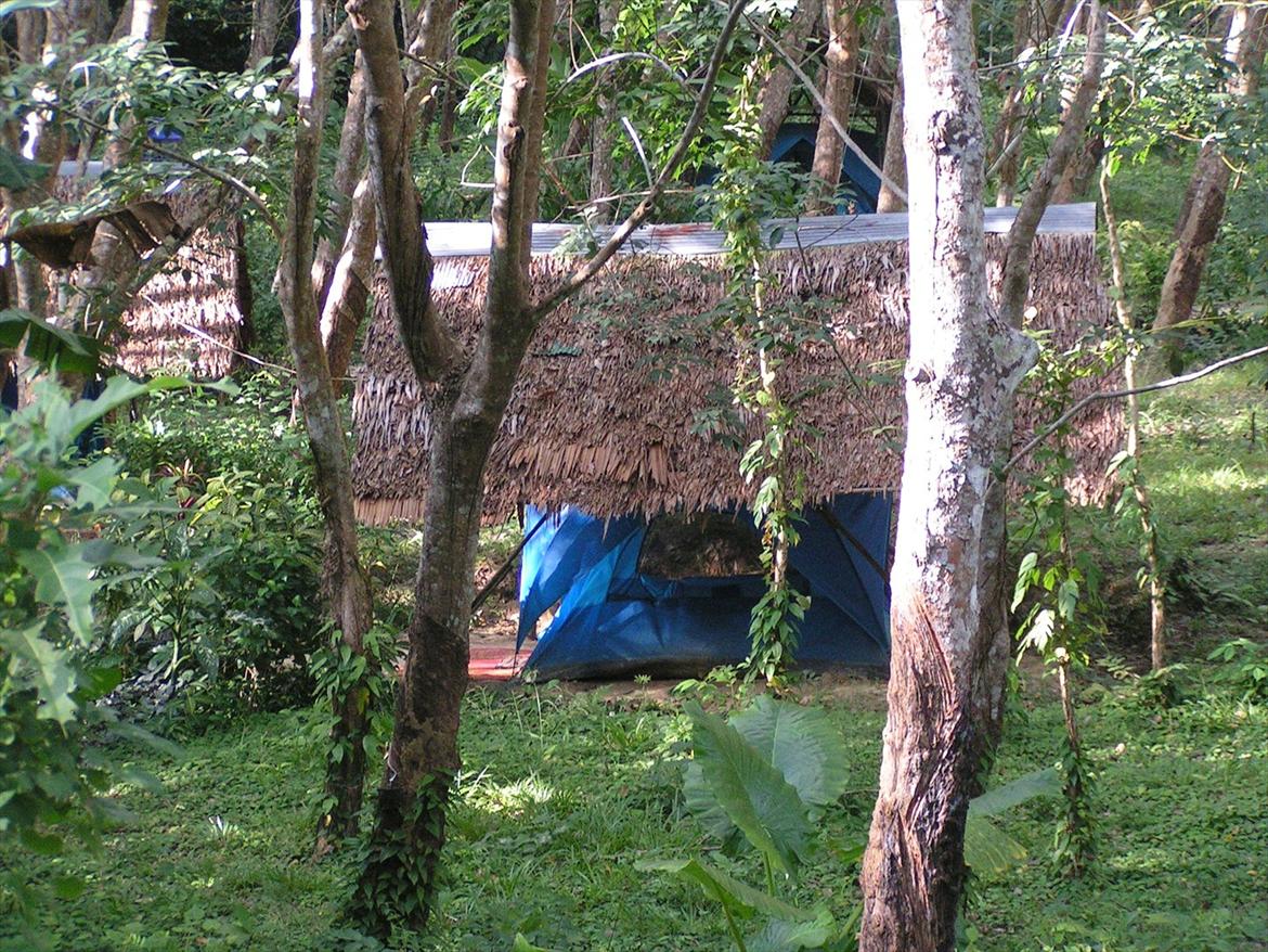 Thailand rundt på MC  - Ja man kan også leje et telt , med stråtag , pris 5 kr pr nat  billede 51