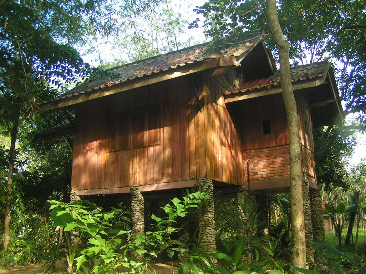 Thailand rundt på MC  - En Jungle hytte vi boede i  billede 55