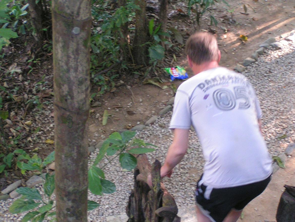 Thailand rundt på MC  - Det lykkes i forviringen dem at komme ind i hytten gemmen et vindue og stjæle mine Chips og andre ting som vi bare så flyve ind i junglen  billede 63