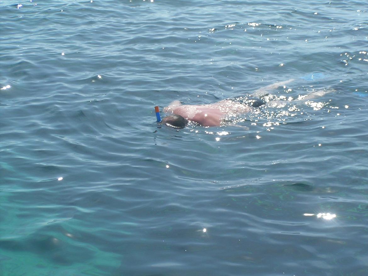 Thailand rundt på MC  - Skulle lige ud og snorkle selfølgelig, og jov jeg fandt deres skrallespand, jeg vil skyde på jeg kunne samle 10 kg affald op på 10 min bunden var simpel hen dækket af plastik og flasker  billede 82