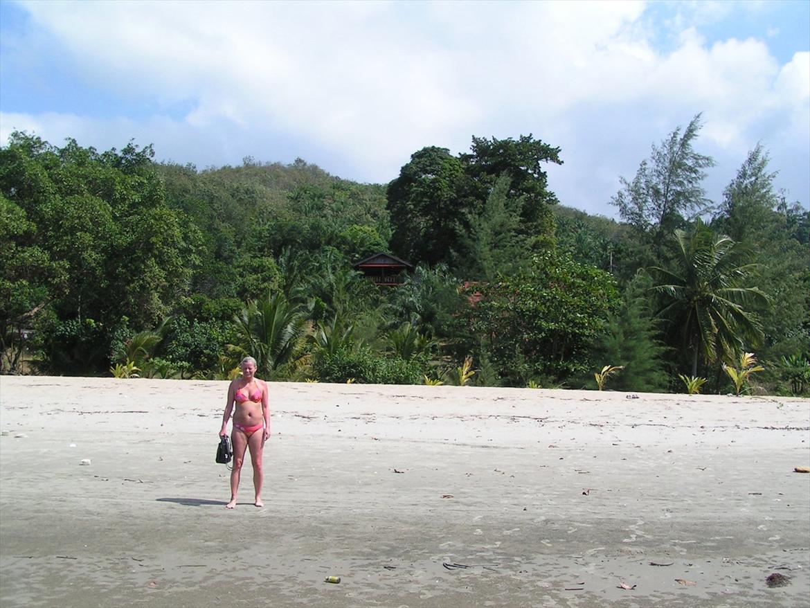 Thailand rundt på MC  - Så fedt, der er 6 hytter gemt i skoven lige ned til stranden, ude i ingenting og midt i det hele  billede 124