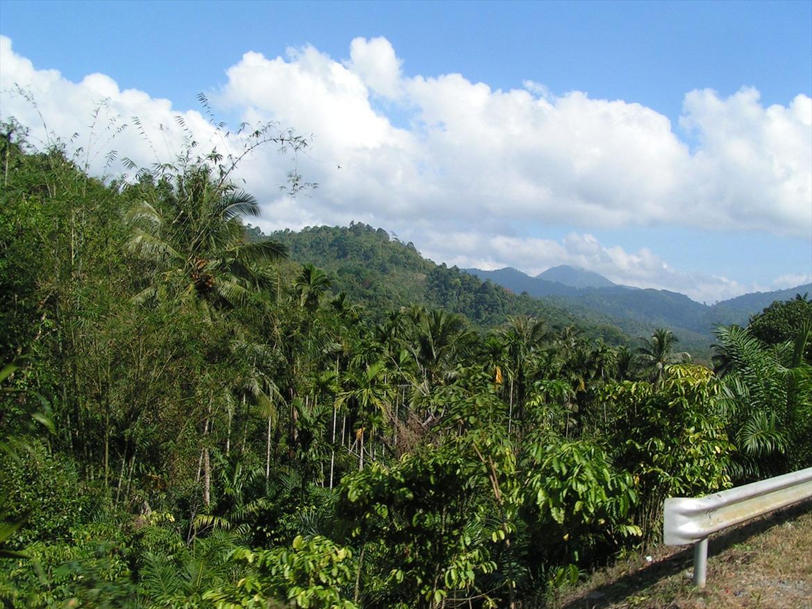 Thailand rundt på MC  - Vider op i Thai billede 132
