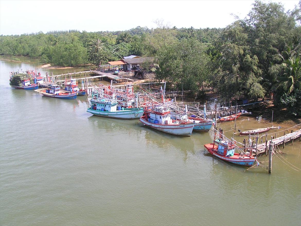 Thailand rundt på MC  - Lokal fiskeflåde i Surat Thani  billede 137