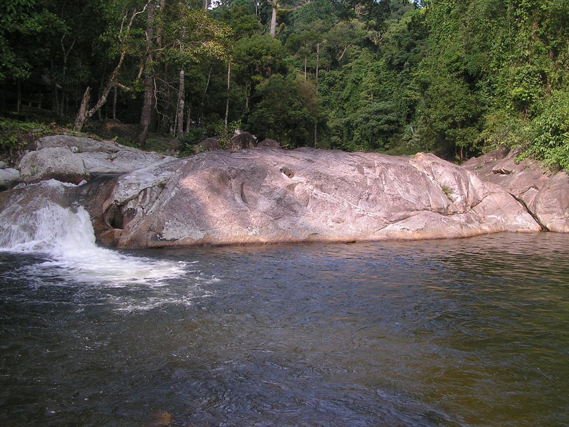 Thailand rundt på MC  - En lille skov sø vi skulle forbi før 7 vandfaldt skulle bestiges, troede min kondi var bare lidt ok, det var den så ikke i luft temp + 35 g og en fugtighed på 800  billede 150
