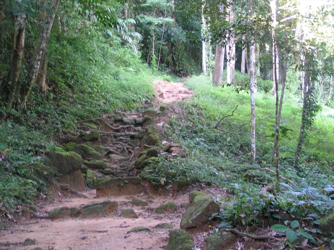 Thailand rundt på MC  - Flere trapper, har gået i et par timer opad  billede 165