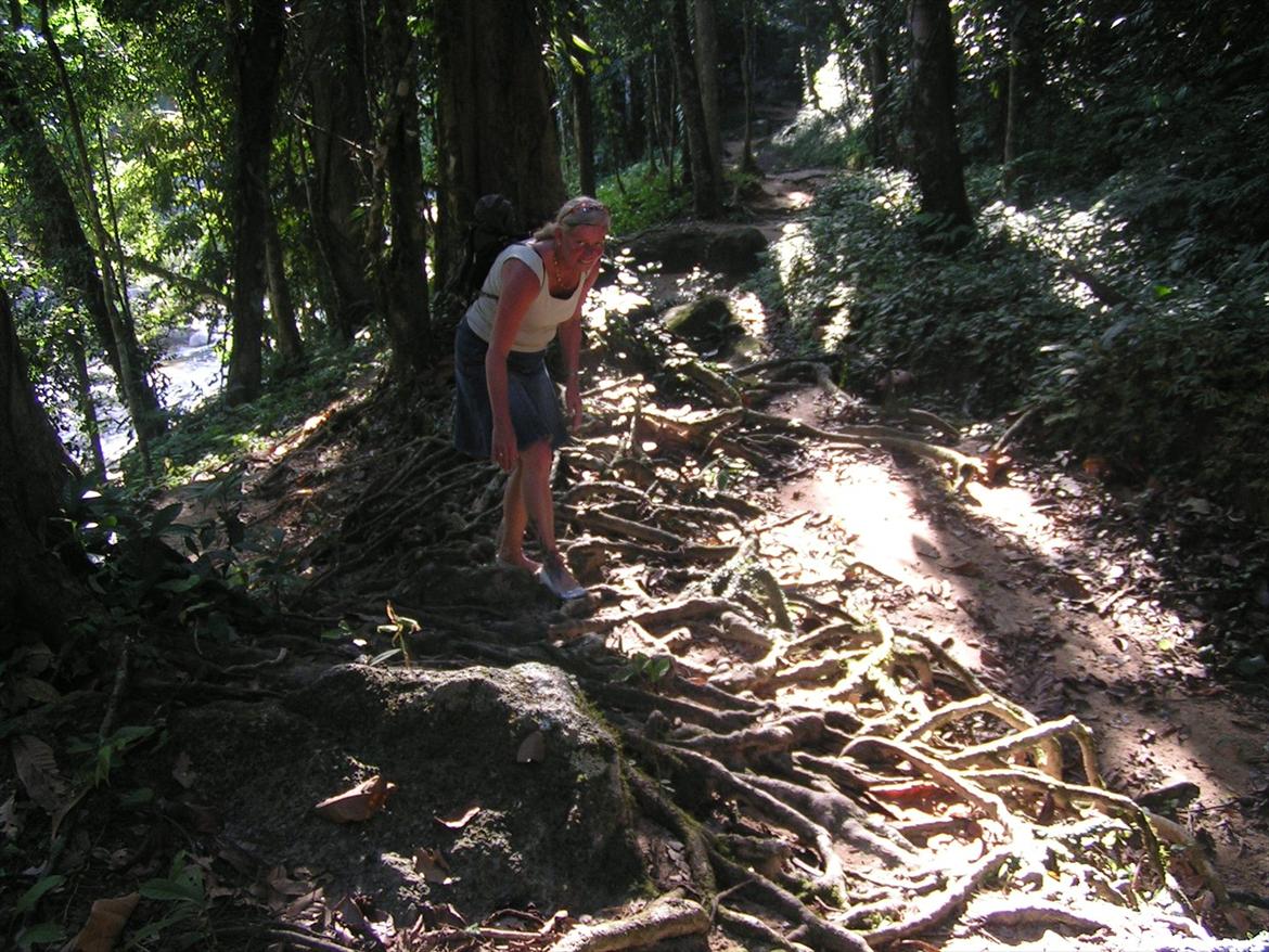 Thailand rundt på MC  - Nu er det ikke så sjovt længere  billede 167