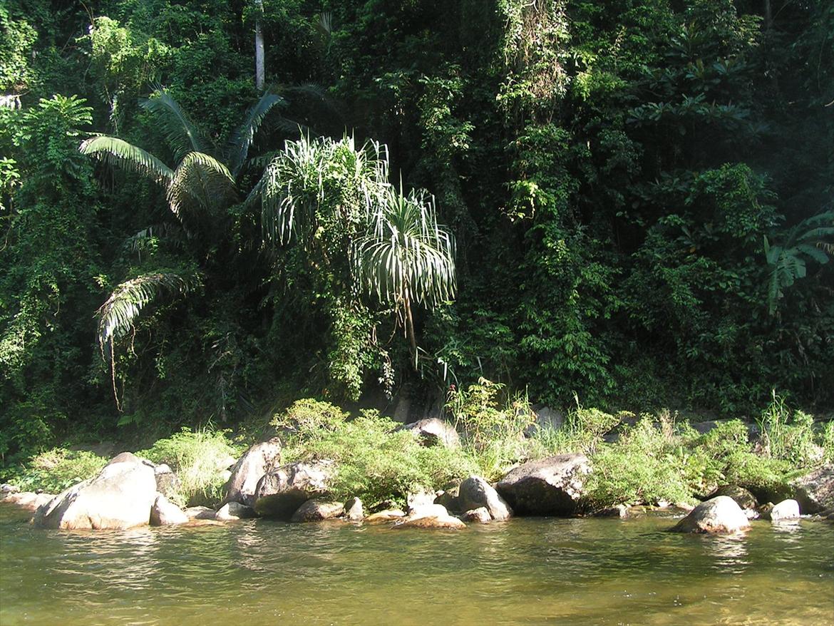 Thailand rundt på MC  - Nu skal jeg alså i vandet  billede 169