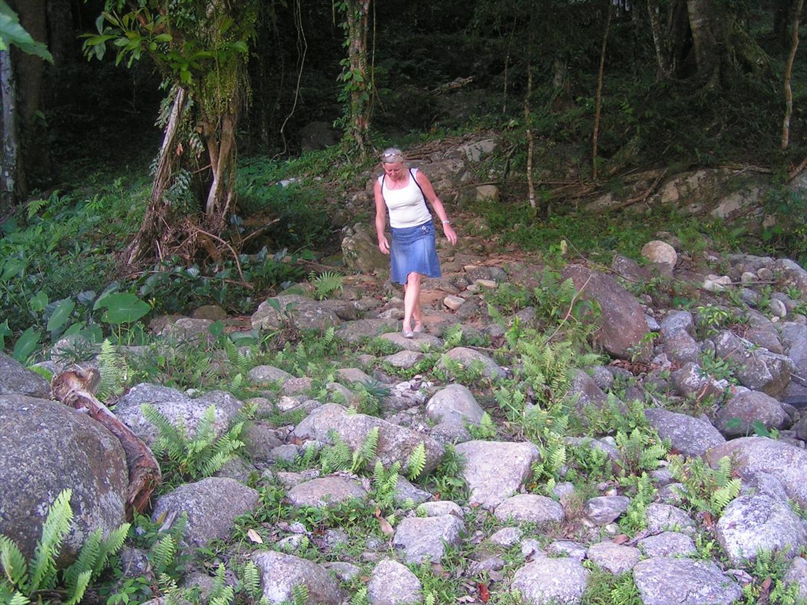 Thailand rundt på MC  billede 177