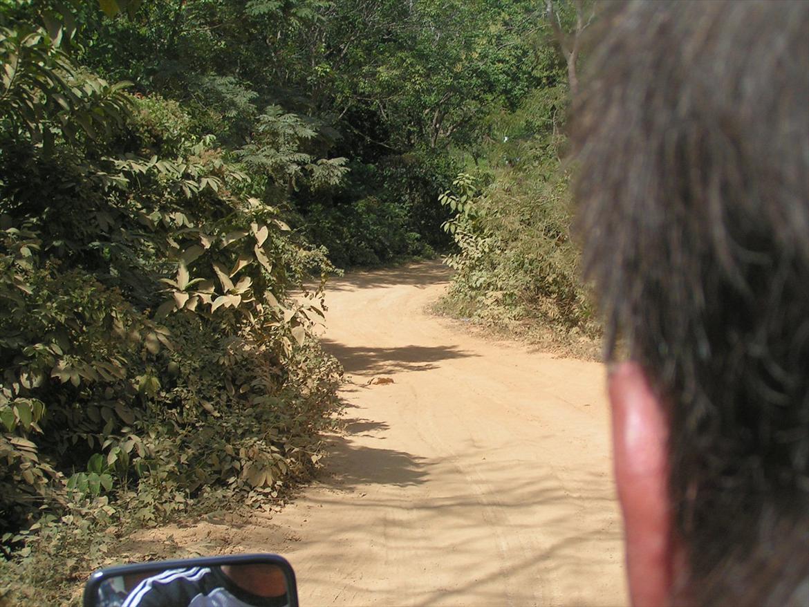 Thailand rundt på MC  - Tør , tør ikke 

TØR  billede 210