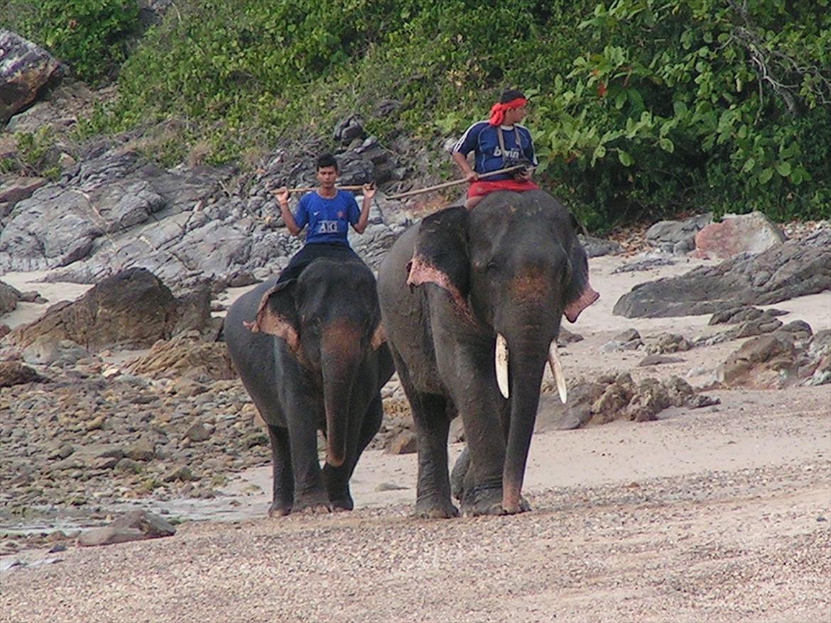 Thailand rundt på MC  billede 214