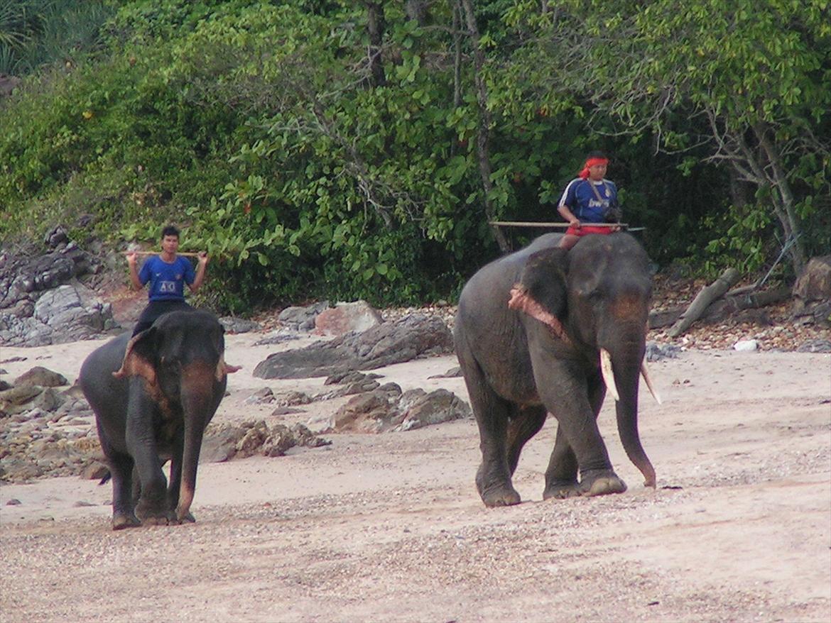 Thailand rundt på MC  billede 215