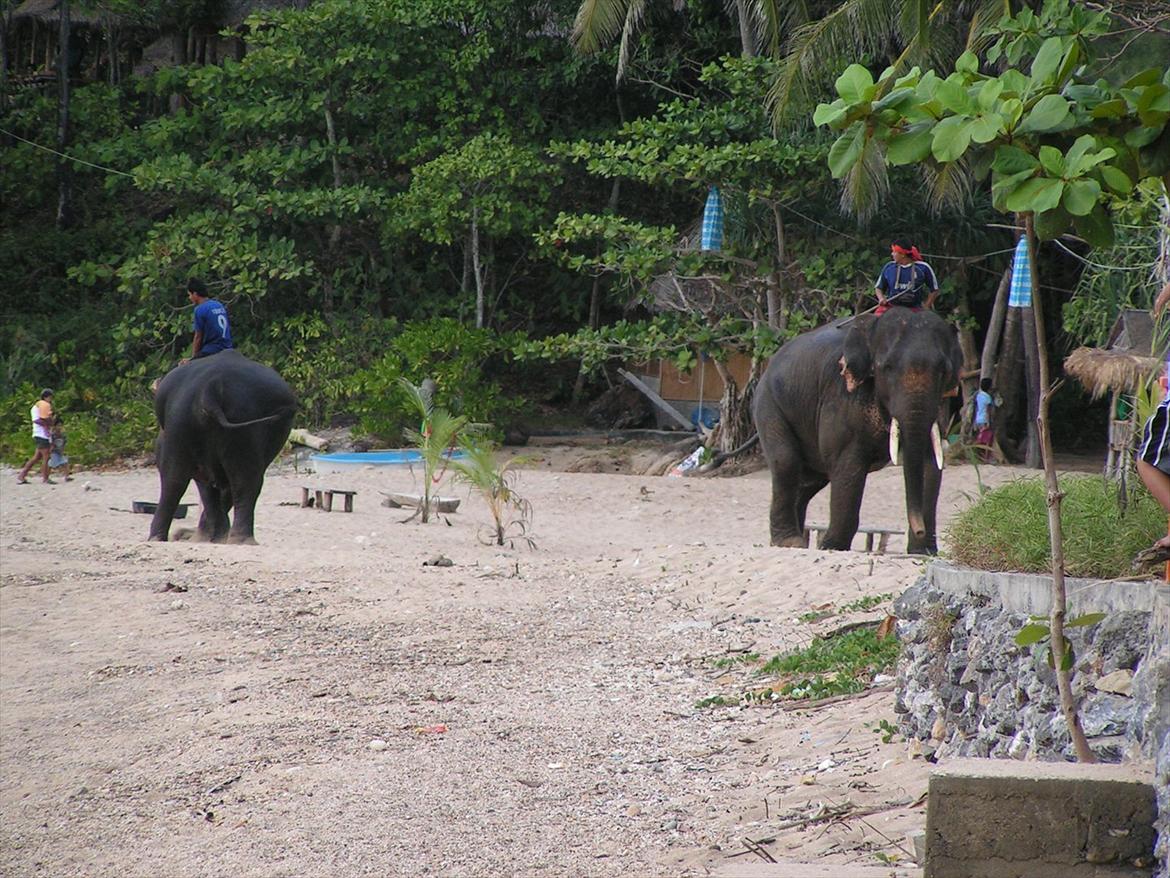 Thailand rundt på MC  billede 216