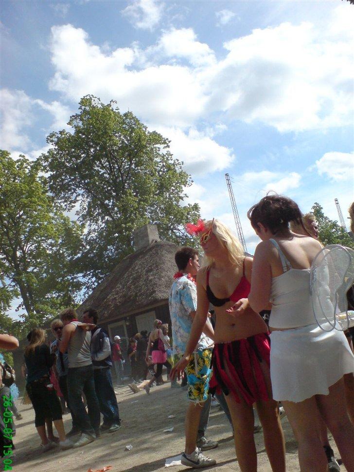 Karneval i Aalborg 2007 billede 99