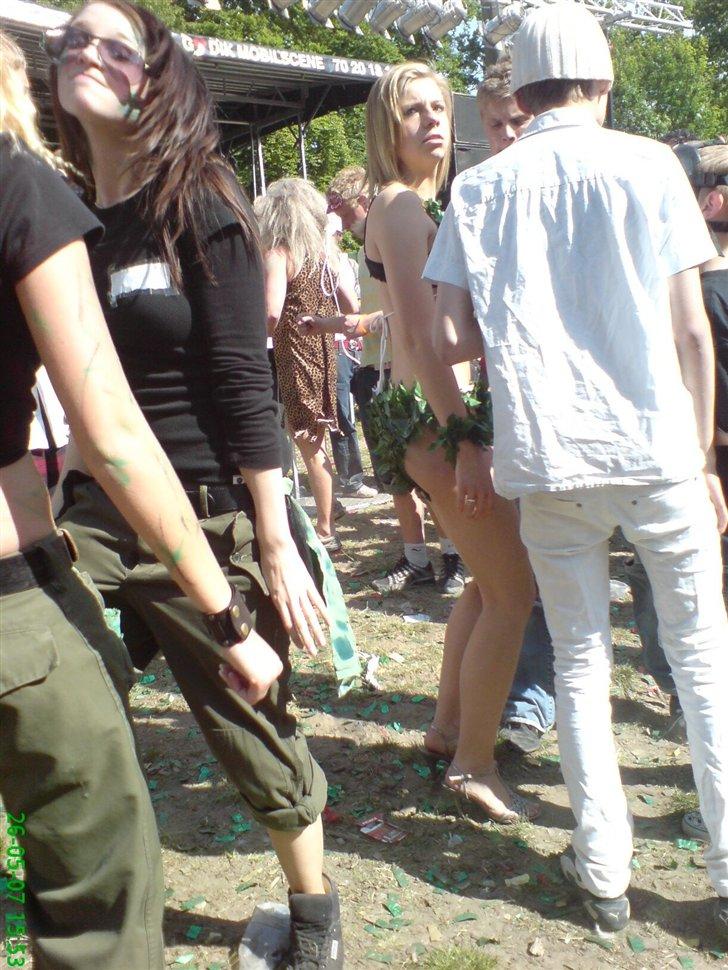 Karneval i Aalborg 2007 - Et kostume af blade, ja tak! billede 110