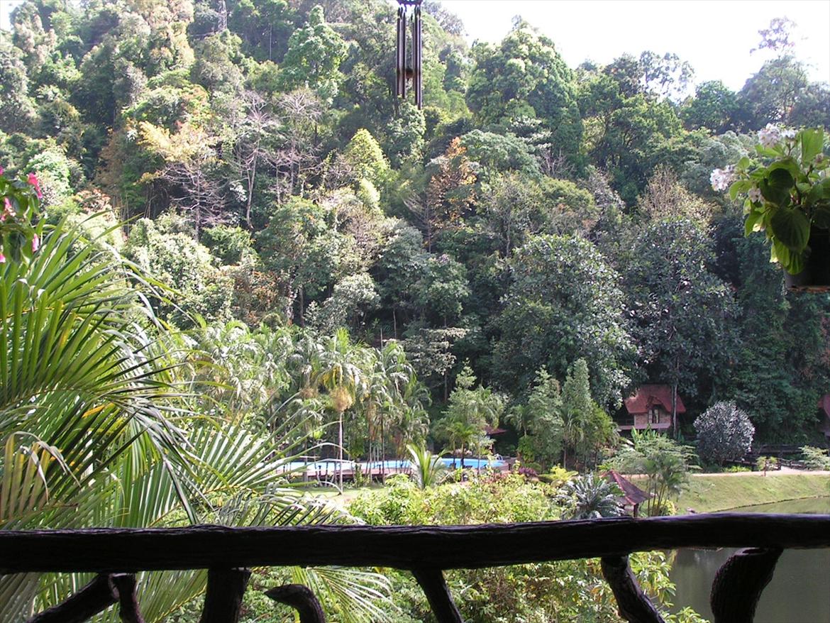 Thailand rundt på MC  - ja der er faktisk 4-8 hytter gemt i den skov billede 239