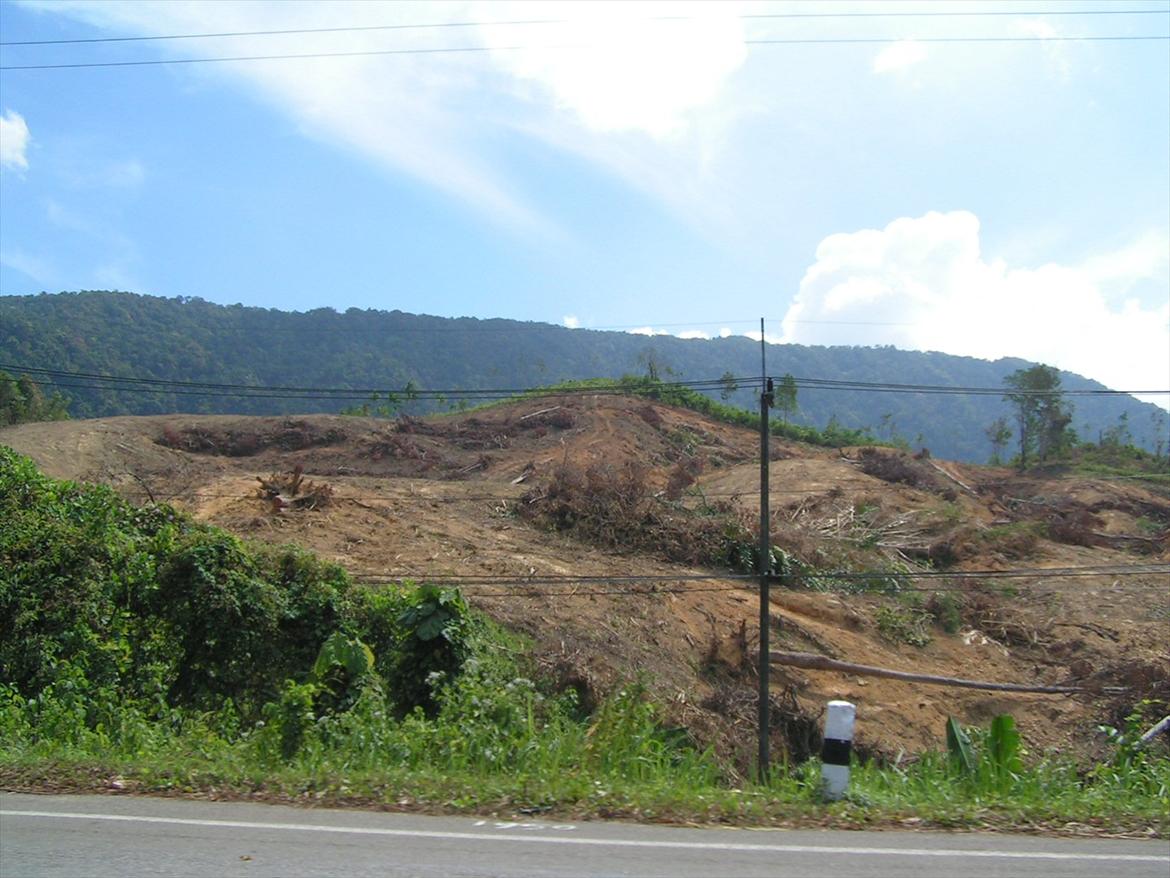 Thailand rundt på MC  - Der har vores havemøbler stået :( billede 240