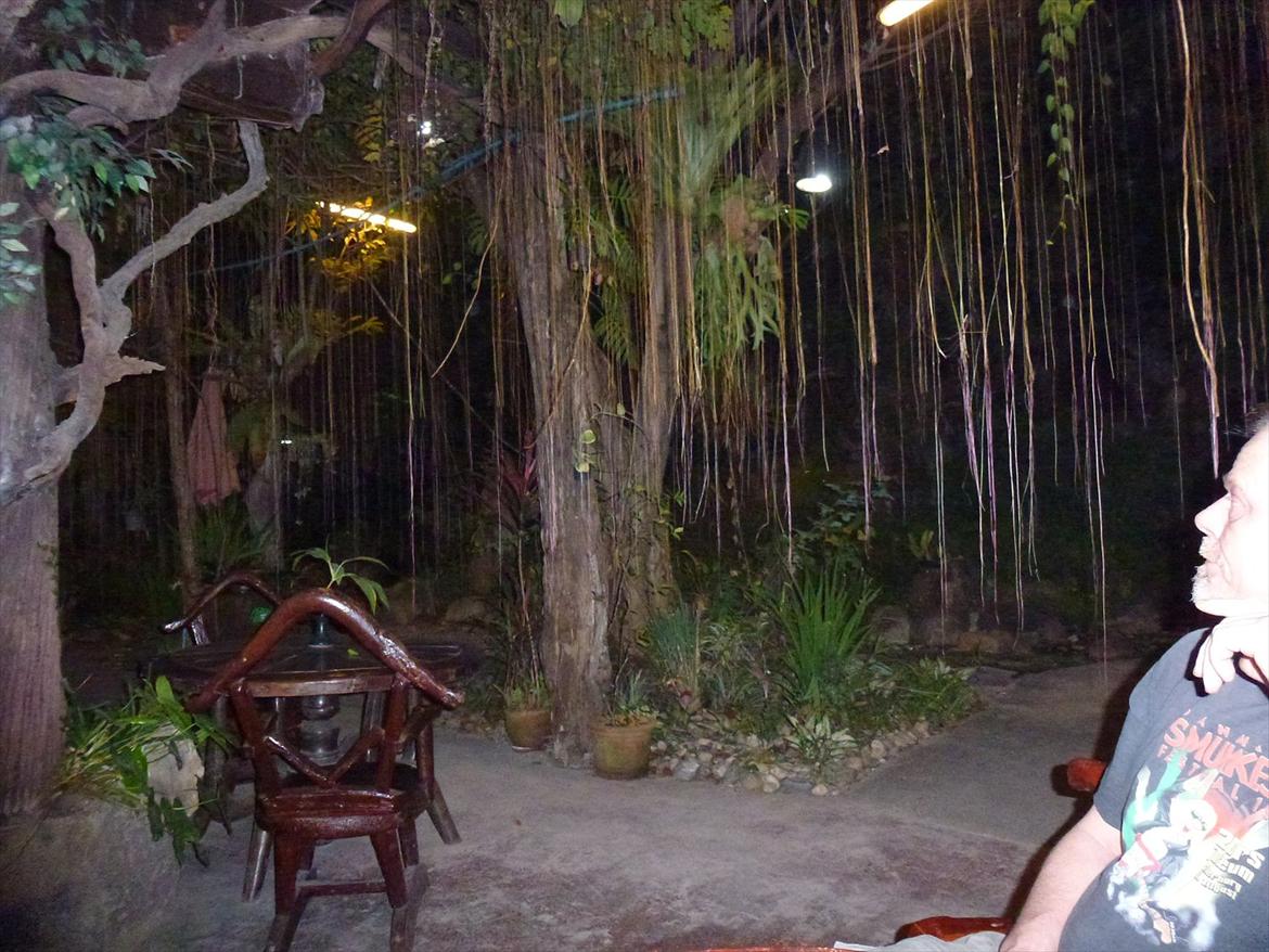 Thailand rundt på MC  - Lidt uhyggeligt, hvem springer lige ud og siger BØH  billede 255