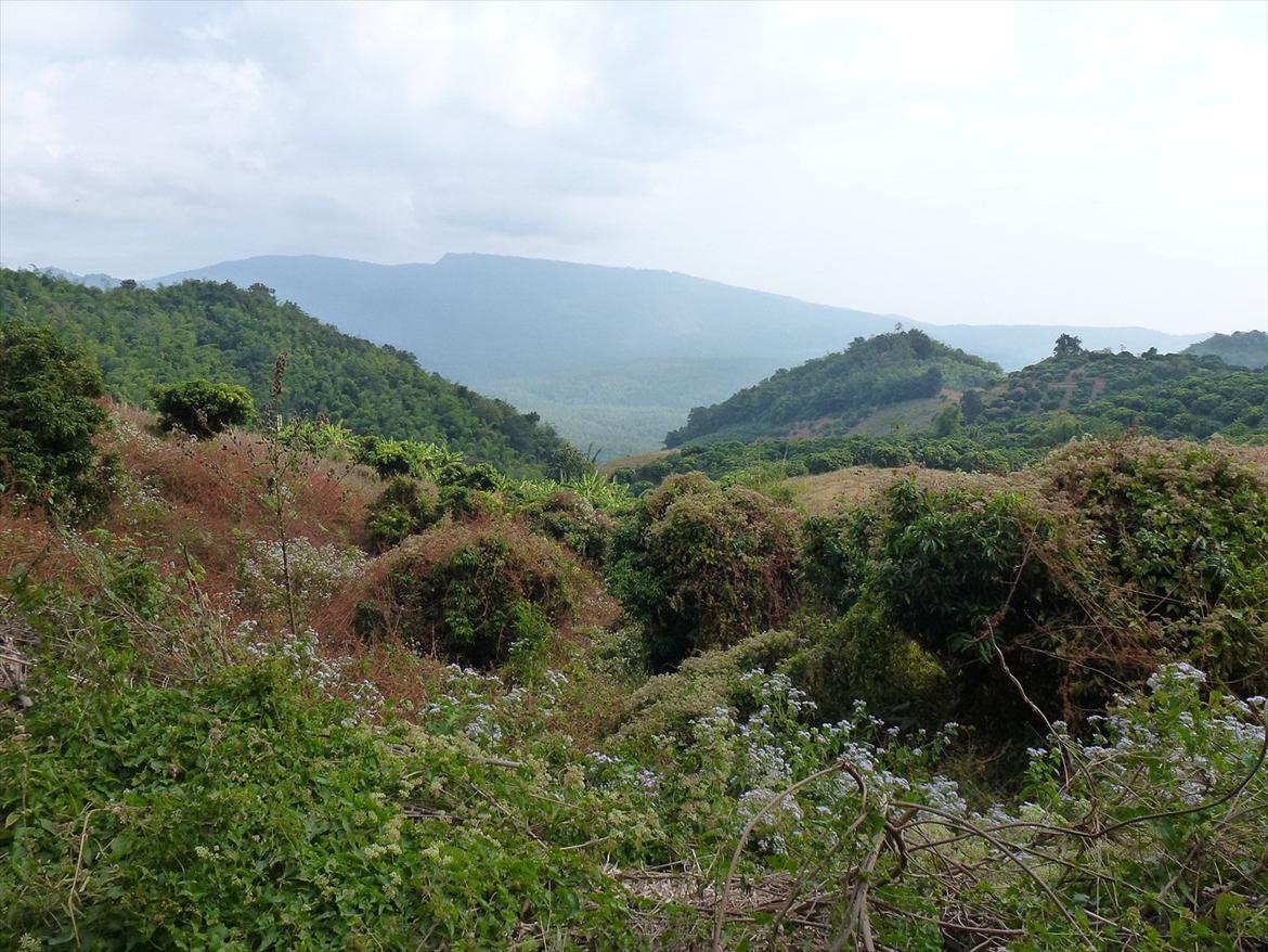 Thailand rundt på MC  - Vi er kørt  billede 258