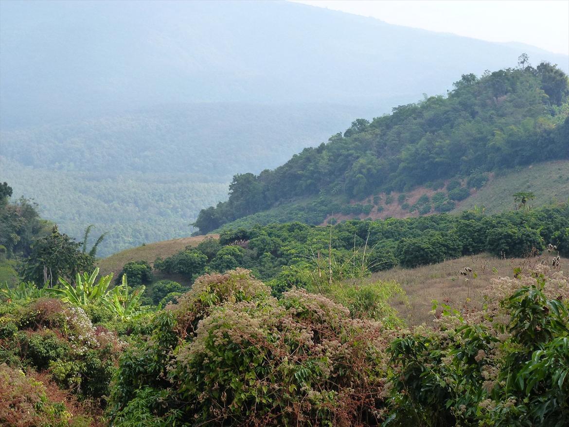 Thailand rundt på MC  billede 259