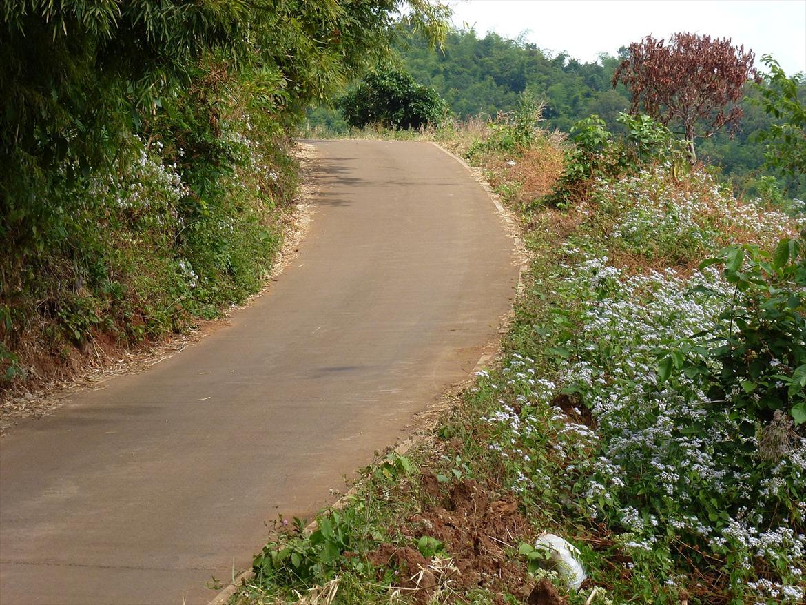 Thailand rundt på MC  - I nord thai er vejene mindre og mere snoet, og mindre trafik , men faktisk kører alle meget bedre end i syd  billede 260