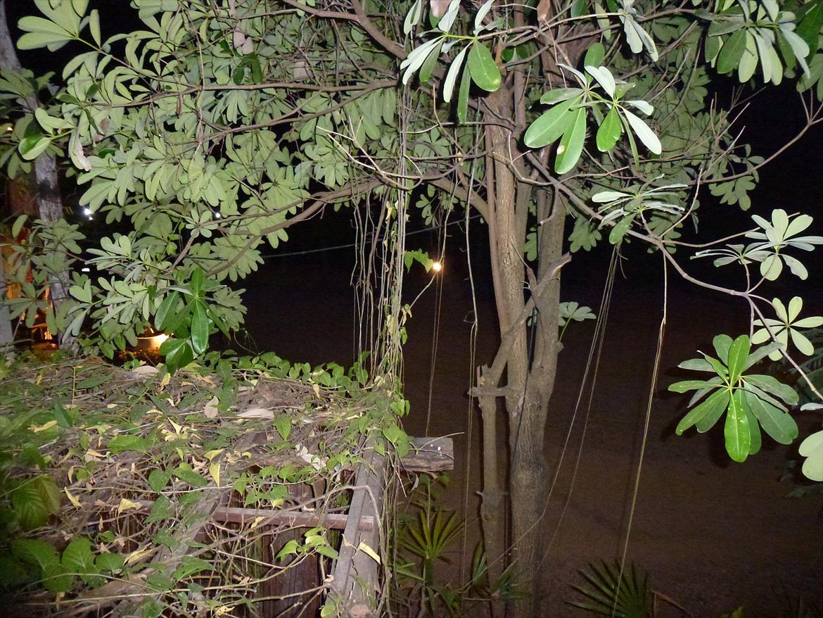 Thailand rundt på MC  - Ja det er en ILDFLUE i ser  billede 283