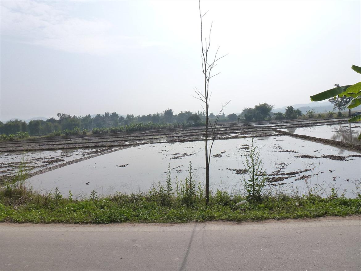 Thailand rundt på MC  - Rismarker og atter rismarker  billede 292