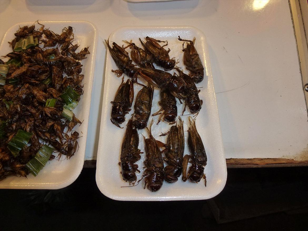 Thailand rundt på MC  - Og de lokale speciliteter skulle da også testes  billede 316