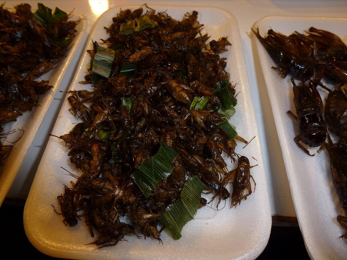 Thailand rundt på MC  - Og der er 6 lår per stk  billede 317