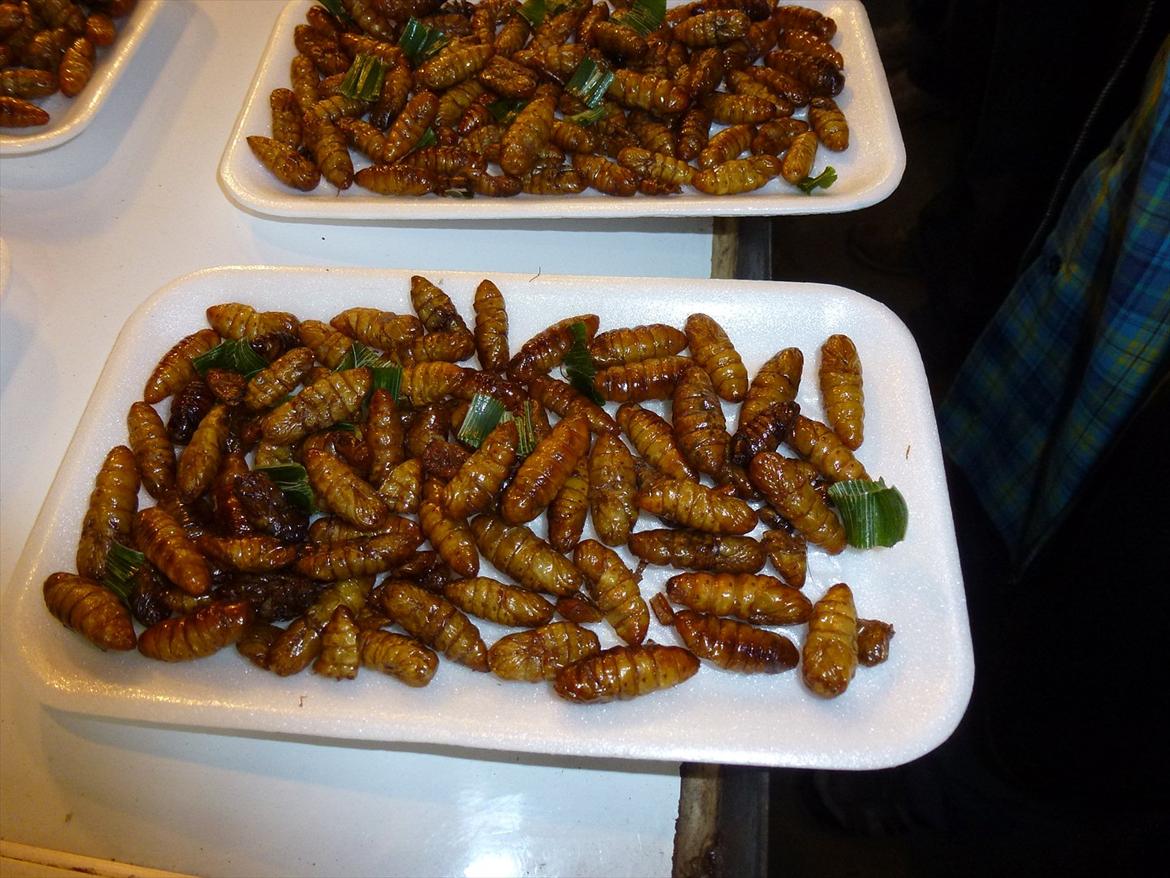 Thailand rundt på MC  - Skønt ikke, de var ikke spøde næsten bare fedet  billede 318