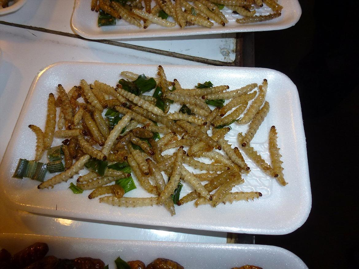 Thailand rundt på MC  - laber laver som vi kender dem  billede 319