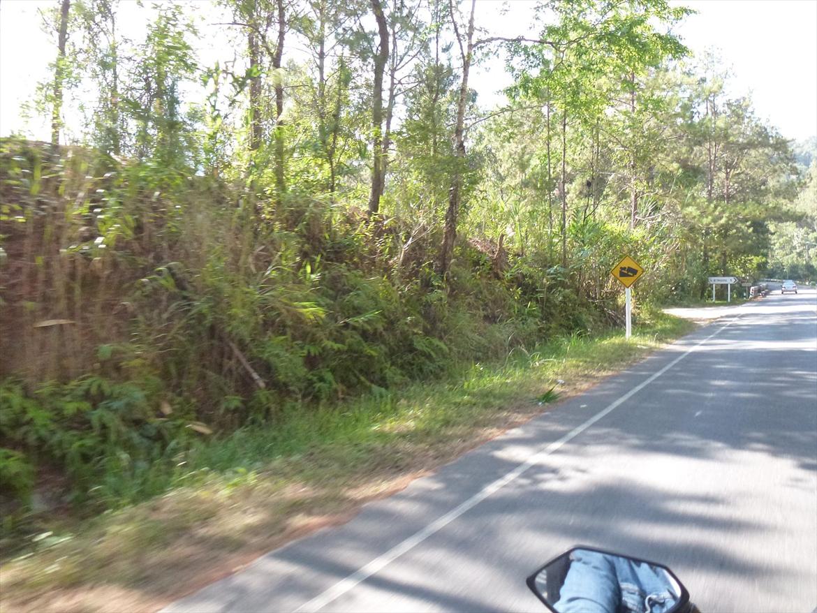 Thailand rundt på MC  billede 333