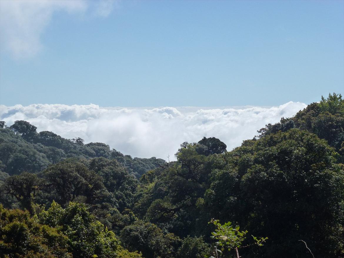 Thailand rundt på MC  - Flot ikke  billede 341