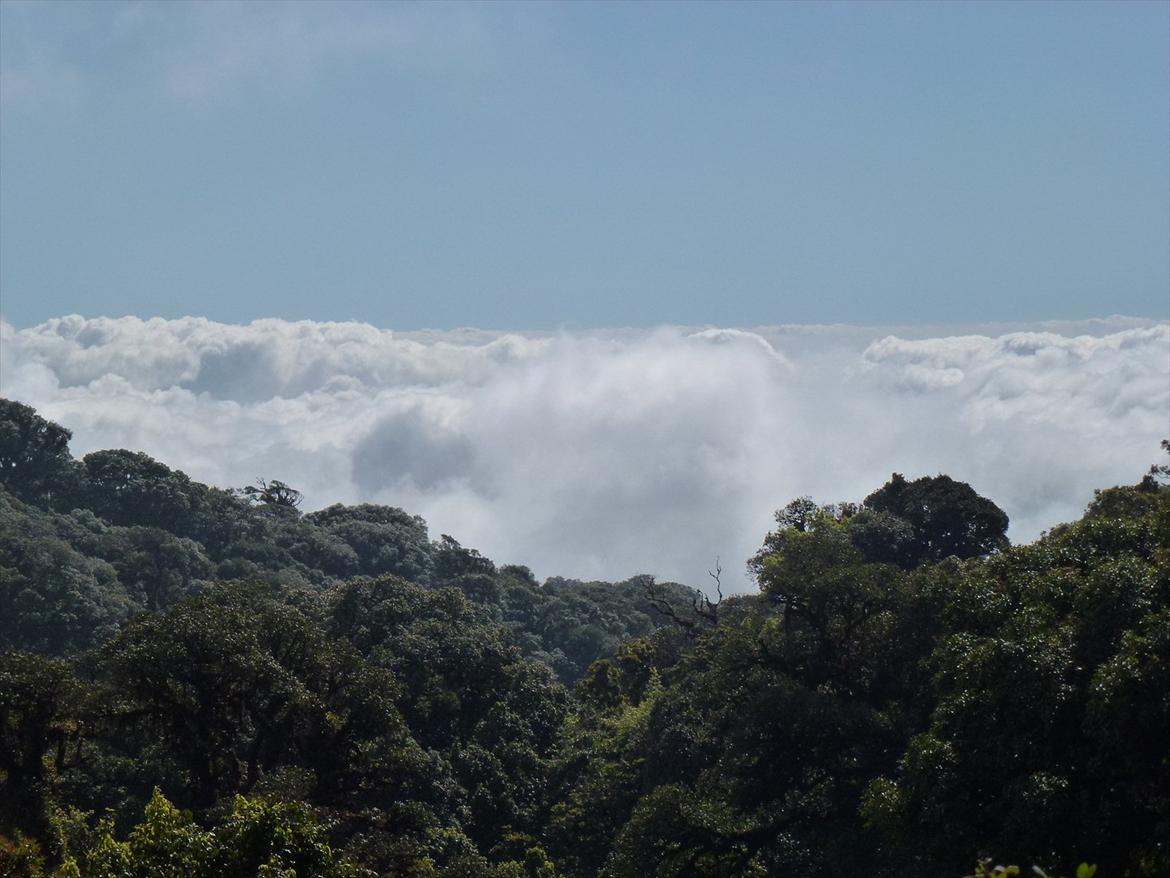 Thailand rundt på MC  billede 342