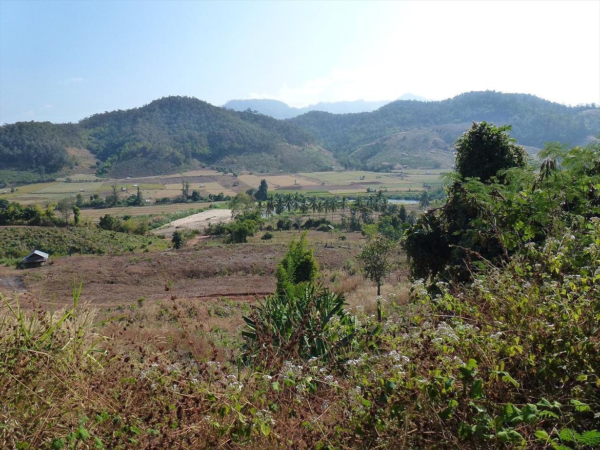 Thailand rundt på MC  billede 347