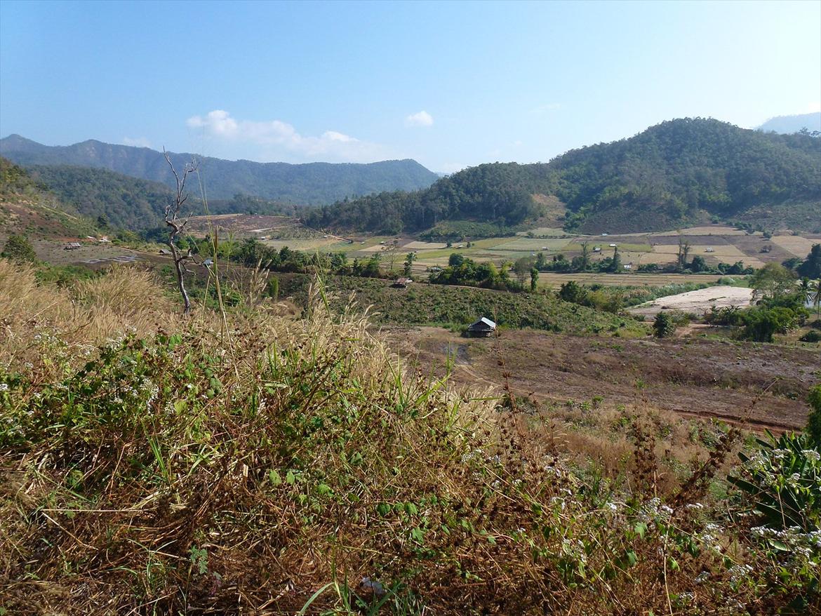 Thailand rundt på MC  billede 348