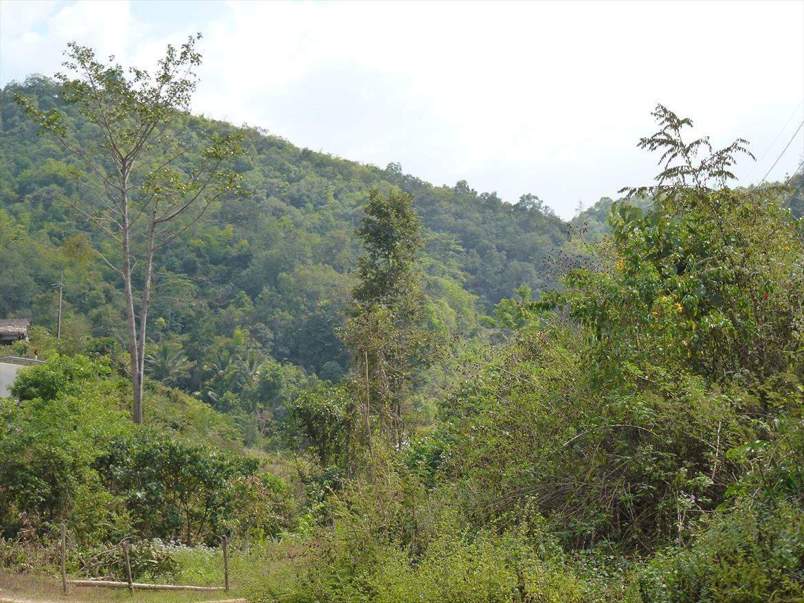 Thailand rundt på MC  billede 351