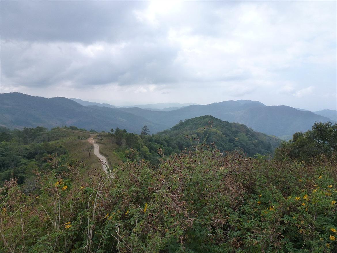 Thailand rundt på MC  billede 354