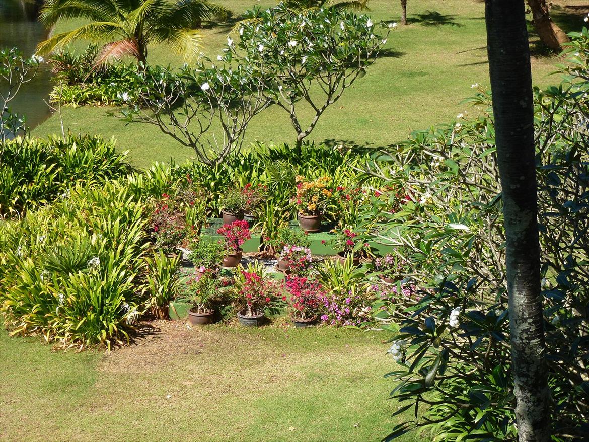 Thailand rundt på MC  billede 367