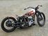 PanHead 59