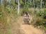 Off road i Cambodia Januar 2011. - Efter Cambodia tog vi videre til Thailand, også med lidt motorleg :)