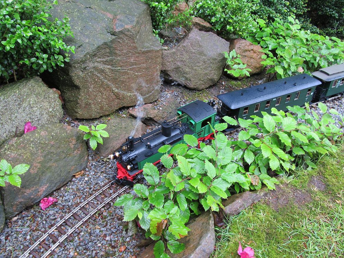 LGB tog i haven. Anderledes hobby. billede 20