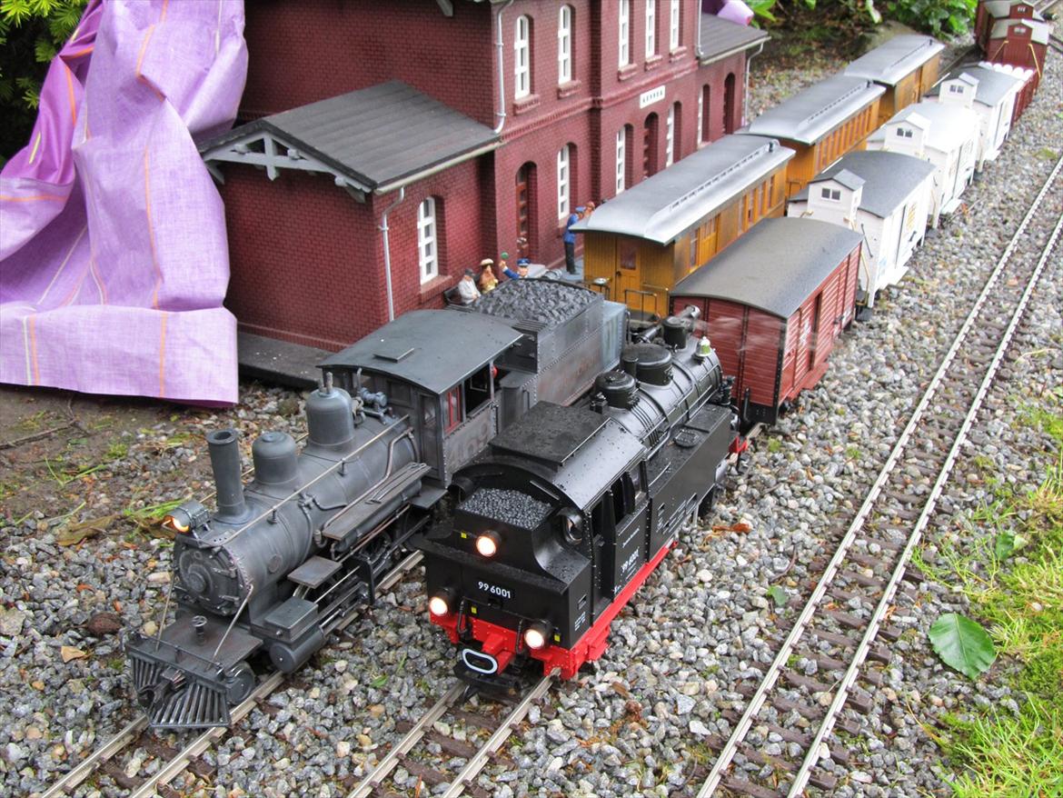 LGB tog i haven. Anderledes hobby. billede 22