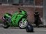 Photo shoot Kawasaki ZX9R
