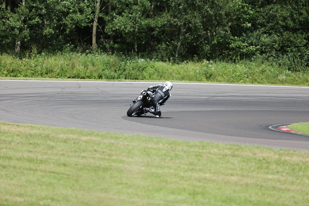 Sydskåne Emse Juli 2012 billede 1