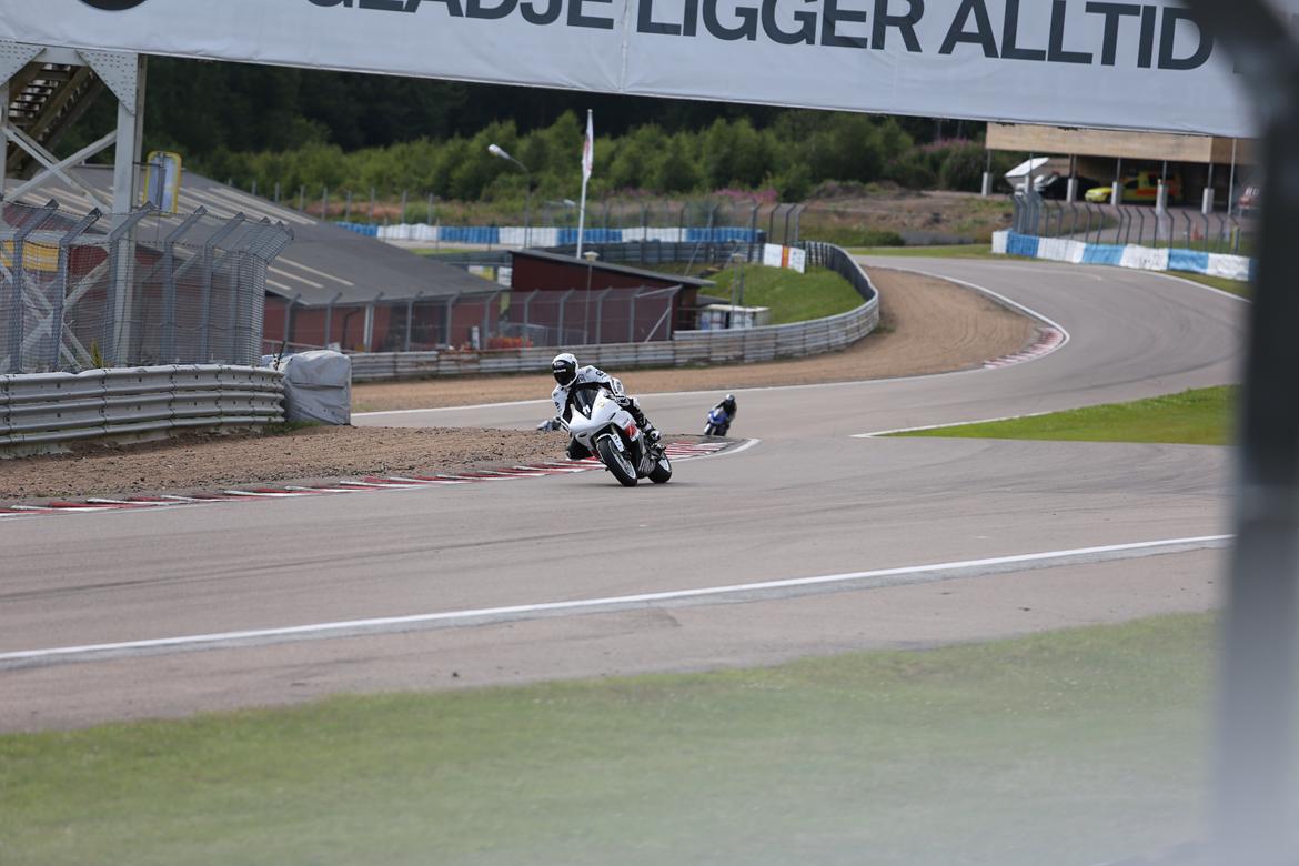 Sydskåne Emse Juli 2012 billede 12