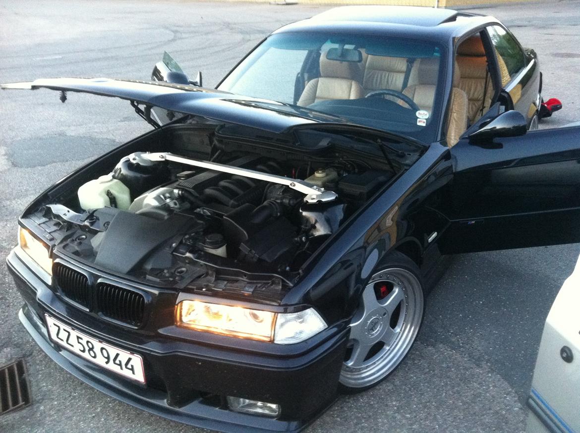 den smukke perle billede 6