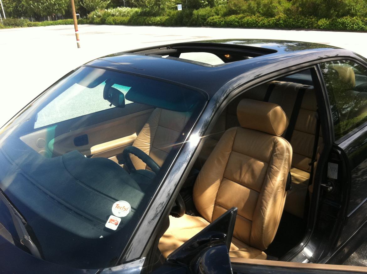 den smukke perle billede 13