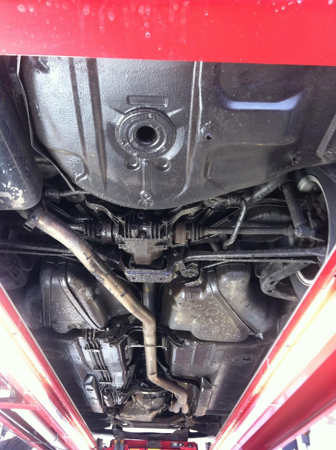 den smukke perle billede 17