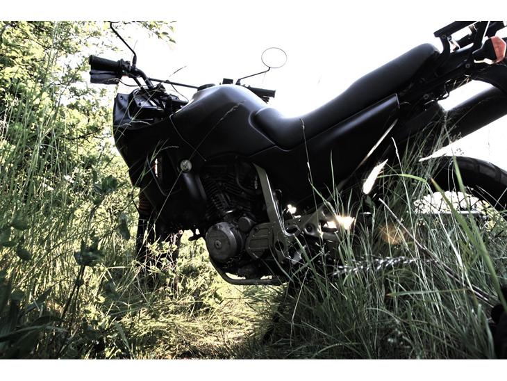 Transalp update billeder billede 0