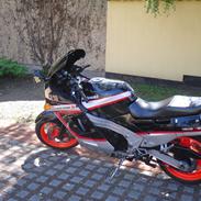 Kawasaki ZX 10